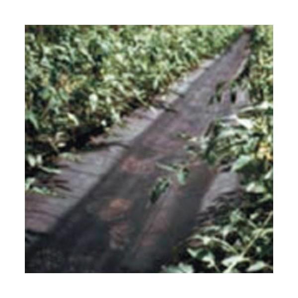 hV[g@uV[gʘH}bg  100m×180cm