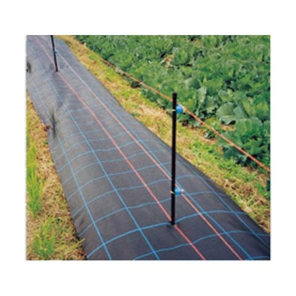 防草シート アグリシート 黒 長さ100m×幅150cm : 日本農業システム