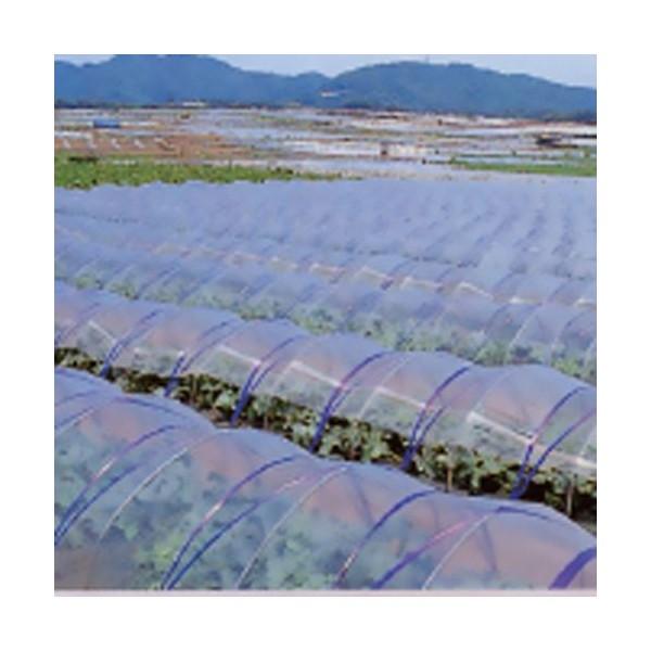 rj[nEXp_r@  100m×0.05mm×200cm