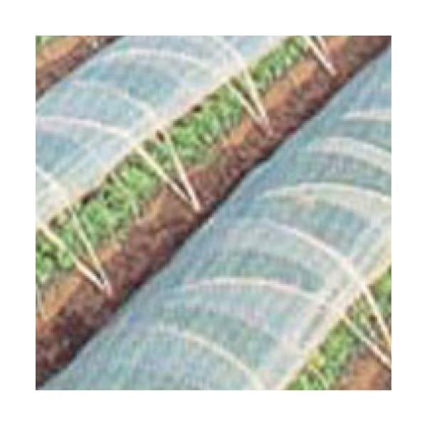 rj[nEXp_r@n  100m×0.075mm×185cm