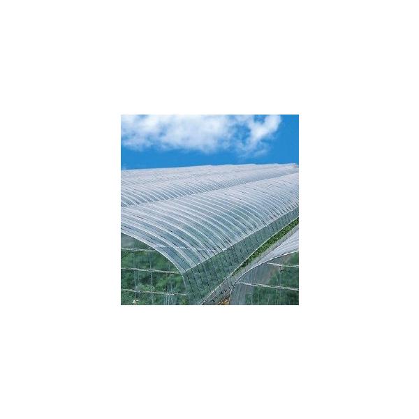 rj[nEXp_r@ALXV@100m×0.1mm×185cm