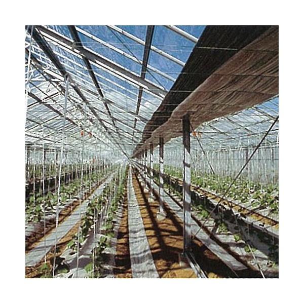 シルバーポリトウ保温用 厚さ0.05mm×長さ100m×幅180cm : 日本農業 