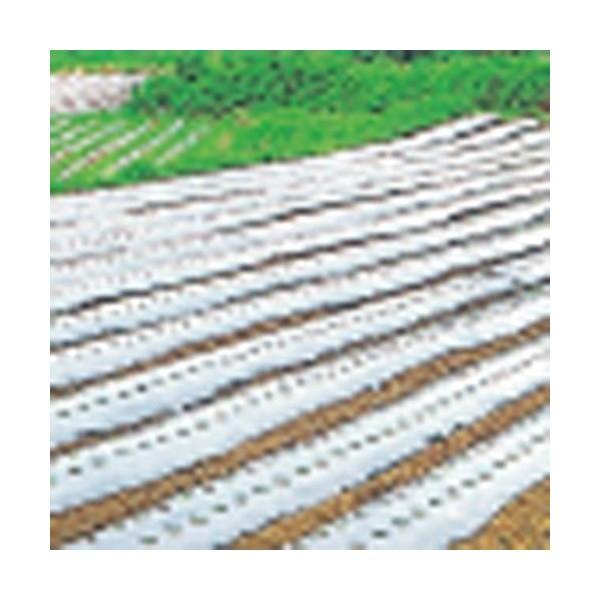 �_�Ɨp�}���`�V�[�g�@�V���o�[�}���`�r�r  ����200m×����0.02mm×��150cm