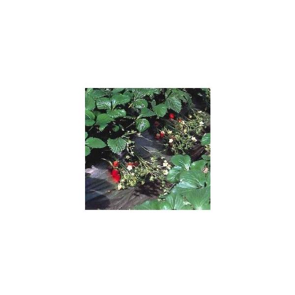 �_�Ɨp�}���`�V�[�g�@���V�R���@���C�h���@(�C�`�S�p)  ����200m×����0.02mm×��135cm