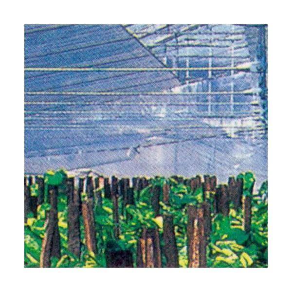 gl͔|p_r@Tbg炭炭  100m×0.075mm×185cm