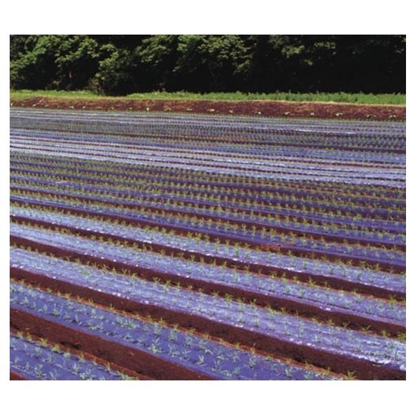 写真はイメージとなります。規格画像をご確認の上、ご購入をお願いいたします。・国産品です。・ポリエチレンを使用していますので、引張強度、伸び、耐候性等に優れています。・地温上昇に適しています。・マルチフィルムに定植用の穴をあける手間が省けます...