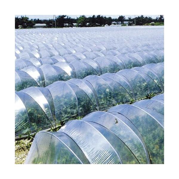 直送品 トンネル栽培用農ビ トンネルサンホット 長さ100m×厚さ0.05mm 