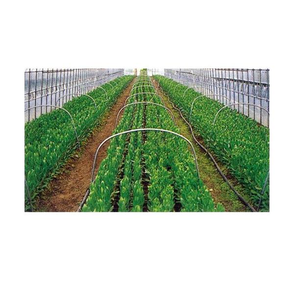 rj[nEXpon@nCx[dw  0.1mm×100m×135cm