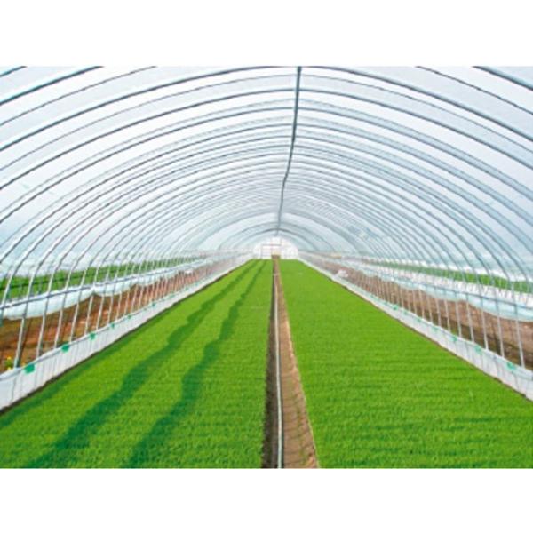 rj[nEXp@POtBiAGЉHj@0.1mm×630cm×25m