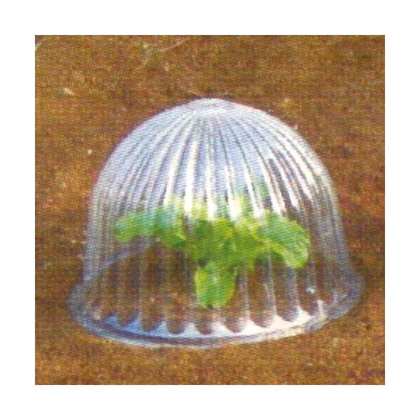 防霜、防虫、保温がワンタッチ雹、強風、豪雨、鳥、犬や猫のいたずら回避に家庭菜園の味方です！≪苗帽子の特長≫リブと通気孔により、葉の接触障害や、高温障害がない。保温力、耐久性がすぐれ何回も使用できる。おそ霜、強風、豪雨など悪天候のほか、害虫、...