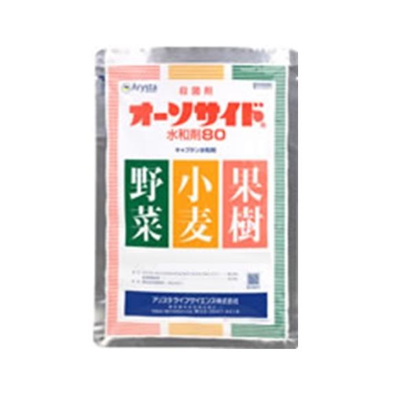 Eۍ܁@_@I[\TCha܂WO  250g