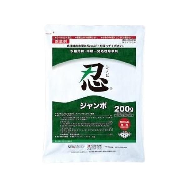忍ジャンボ 20G×10