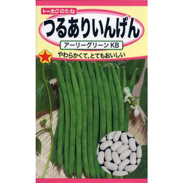 インゲンの種　やわらかくて、とてもおいしい　約６５日で収穫できる支柱栽培用のつるあり品種　生産地：アメリカ　発芽率：80%以上　内容量：25ml
