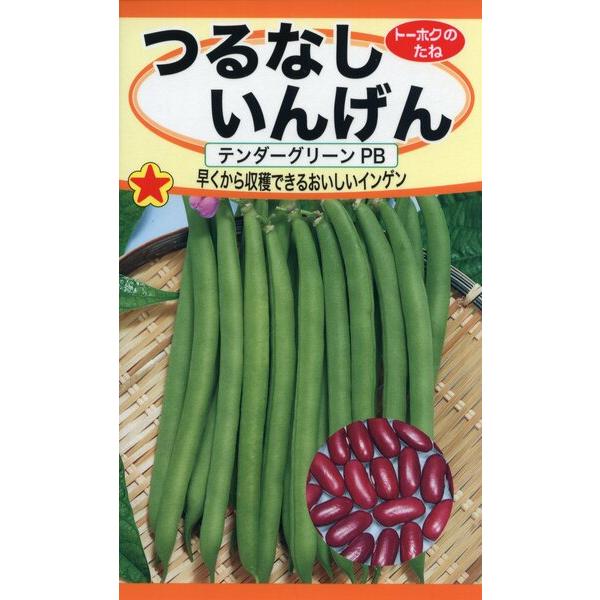 つるなしいんげんpb 種子 たね 品番1753 日本農業システム 通販 Paypayモール