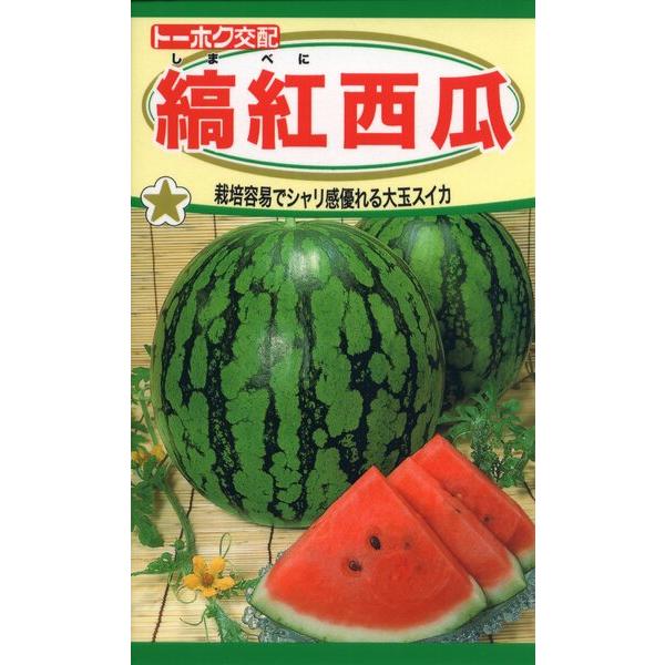 スイカの種　大玉のチャンピオン　果実が鮮紅色のおいしい大玉スイカ　生産地：インド　発芽率：80%以上　内容量：1ml