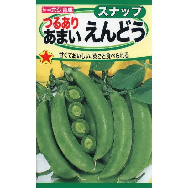 えんどう エンドウの種 つるあり あまいえんどう 30ml 品番6380 種子 たね
