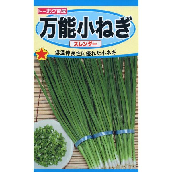 ネギの種 万能小ネギ スレンダー 7ml 品番2214 種子 たね : 日本