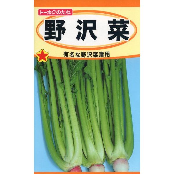 ノザワナの種 野沢菜 10ml 品番1026 種子 たね :0301902010266:日本農業システム - 通販 - Yahoo!ショッピング