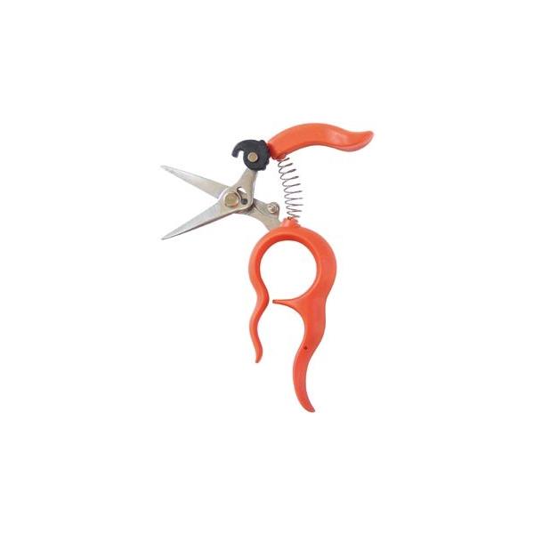 �T�{�e���@���肪�g������n���@1318S