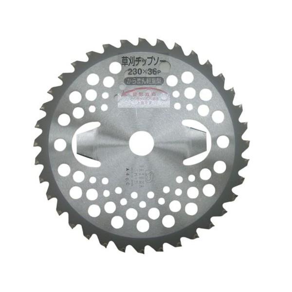 ����܂�@255x36P