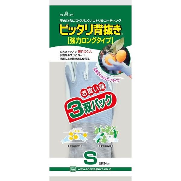 Ɨp܁@sb^w@̓O 3opbN S