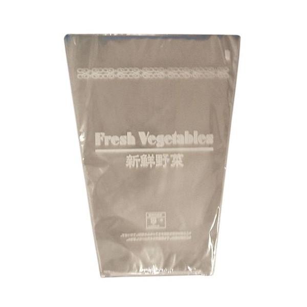 hܐVNؑ܁@25cm/16cm×34cm@100