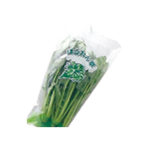 ق񑐁@@@0.02mm×23/10cm×33cm×100