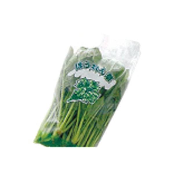 ق񑐁@@@0.02mm×28/15cm×36cm×100