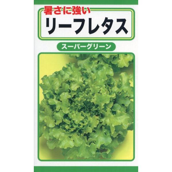 レタスの種 暑さに強いリーフレタス （スーパーグリーン） 3ml 品番