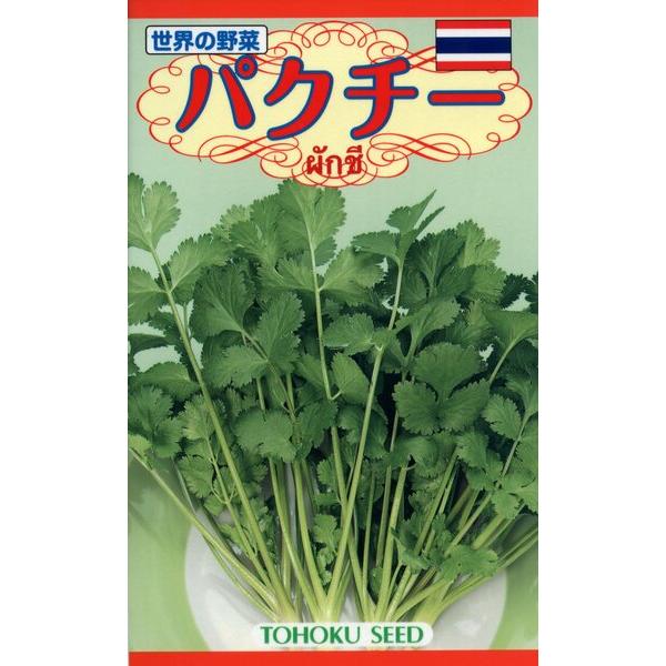 野菜の種 パクチー コリアンダー ４袋まで送料７３円 優良配送はクリップポストで送料185円