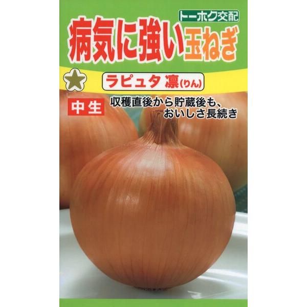 タマネギの種 F1 玉ねぎ ラピュタ 凛（りん） 3.5ml 品番8276