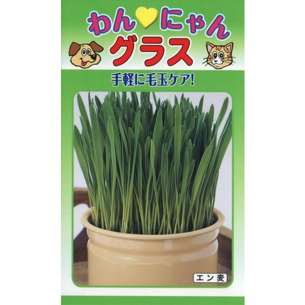 ペットの毛玉ケア専用のエン麦の種　ペットの毛玉ケア専用のえん麦　家庭でも簡単に栽培ができます　生産地：アメリカ　発芽率：85%以上　内容量：60ml