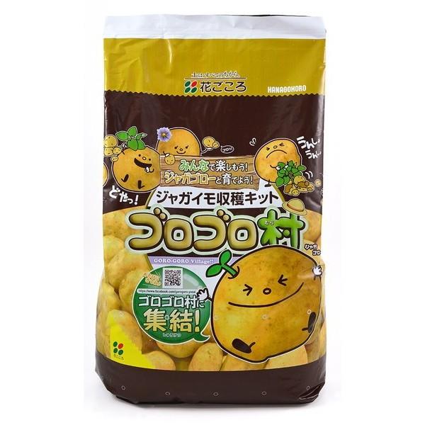 Ԃ@WKCnLbg@SS@͔|py9L^엿45g^y2L×2