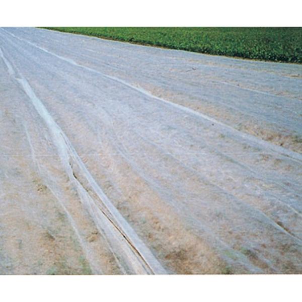 べたがけポリプロピレン素材の連続繊維不織布です。農業用不織布、保温性抜群。べたがけやトンネル栽培に最適。抜群の保温性で生育促進、遅霜対策に効果を発揮します。害虫の侵入を防ぎ、病気の発生を抑えます。適度な光線（透光率９０％）を通し、生育を妨げ...