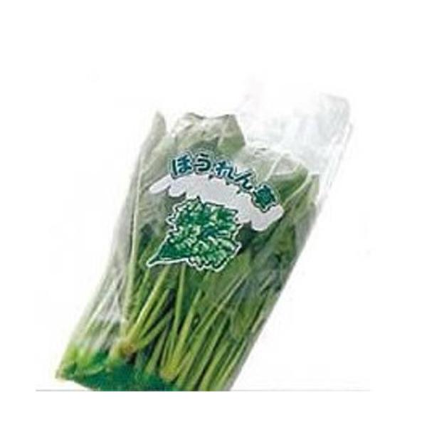 ق񑐁@@@0.02mm×23/10cm×33cm×1000