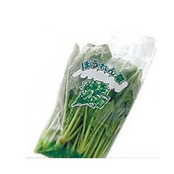 ق񑐁@@@0.02mm×28/15cm×36cm×1000