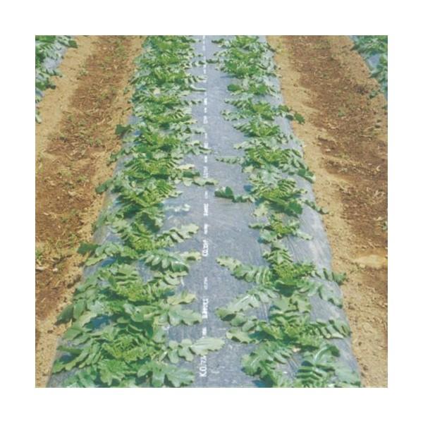 �_�Ɨp�}���`�V�[�g�@KO�}���` �� �iKOG�j ����0.02mmX����200m×��150cm 3�{�Z�b�g