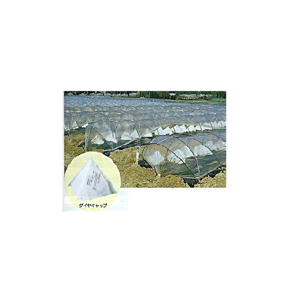 支柱が不要で作業性抜群の保温キャップ日焼けの害がほとんどありません特殊加工を施していますので、濡らしてもんでも破れにくくなっています。