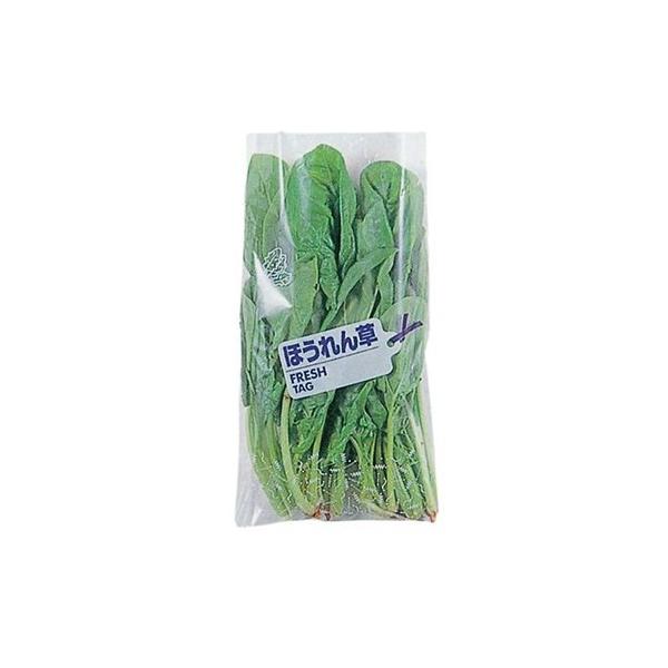 ق񑐂es0.02mm×20cm×35cm×1000@R[i[Jbg