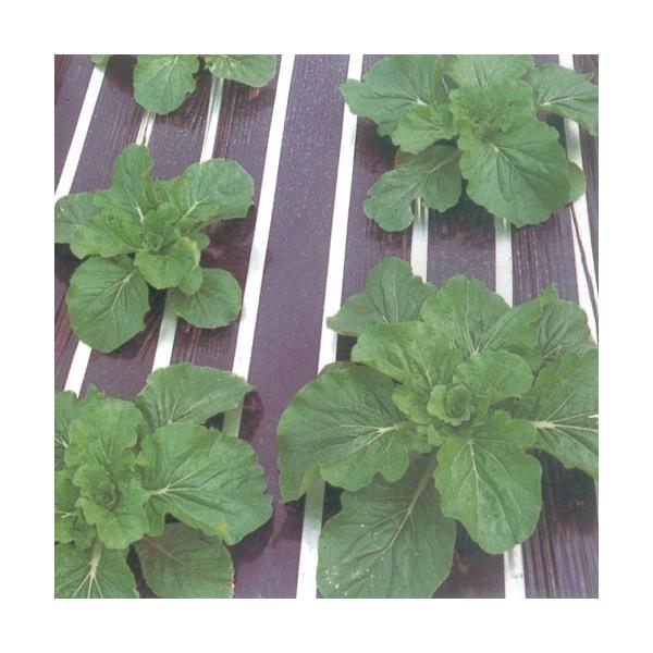 _Ɨp}`V[g@VRiXgCvj   0.02mm×200m×135cm@Q{Zbg