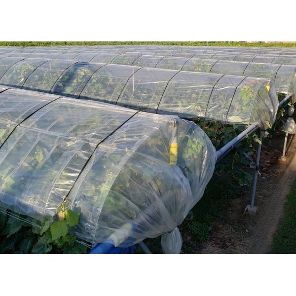 i@AGJ悯mE|@0.05mmX180cmX100m@Q{Zbg