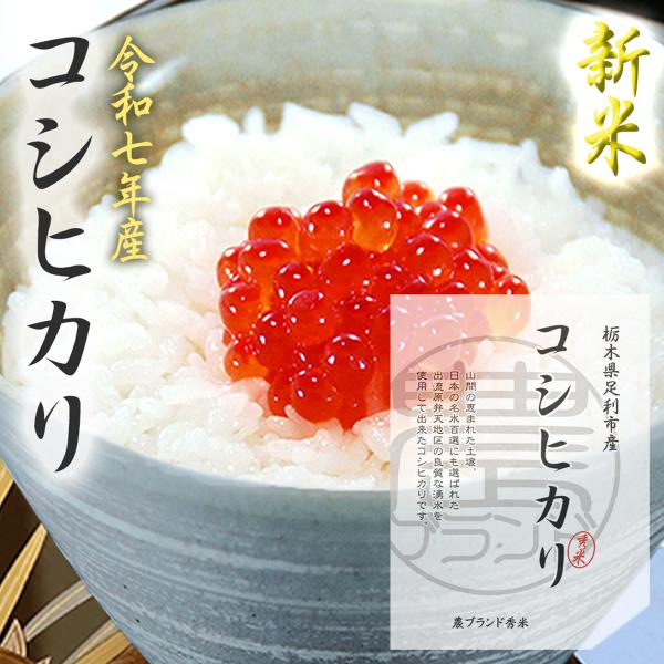 栃木県 産直 コシヒカリ 10kg 2025年産 こしひかり 無洗米 玄米 お米 米 送料無料 肥料 農薬 最小限 おこめ コメ お祝い 内祝 ギフト 産直 １０キロ 贈答