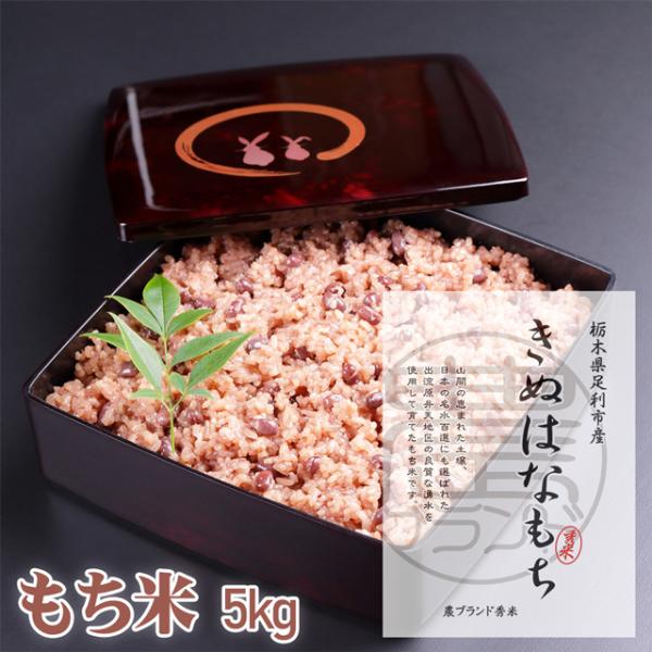 栃木県 産直 もち米 きぬはなもち 5kg 令和5年産 送料無料 米 お米 コメ モチゴメ モチ米 糯米 もちごめ もちこめ もちまい 餅 もち 赤飯 おこわ