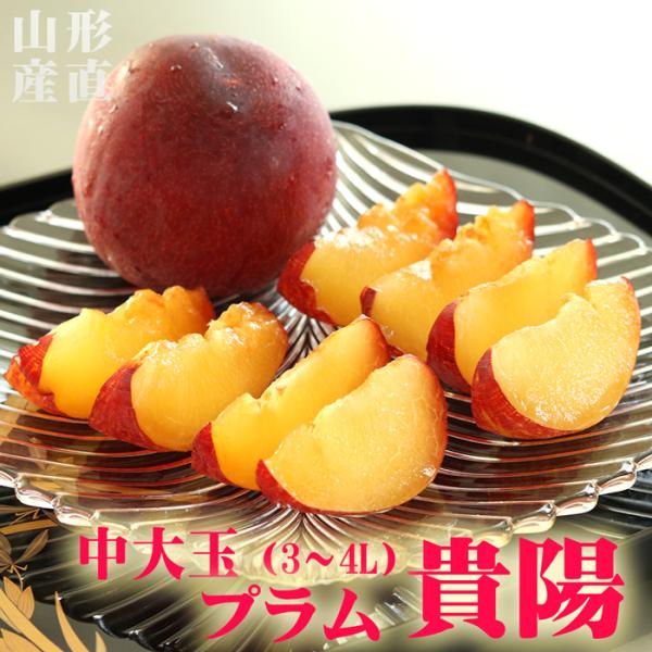 山形県産 高級 ブランド プラム 貴陽 きよう 中大玉 3L〜4L×8〜10玉 約1.2kg 送料無料 すもも 果物 くだもの フルーツ ギフト 産直 贈答 プレゼント