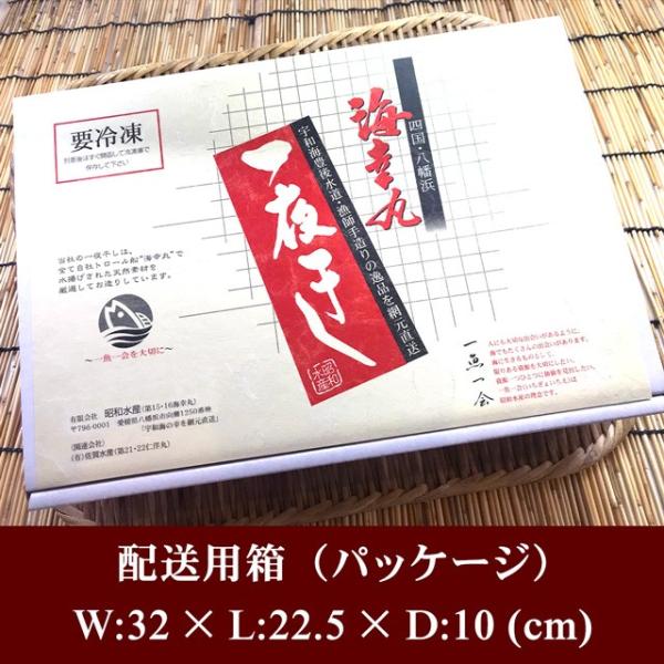 宇和海 一夜干し Bセット 八幡浜産 かます レンコ鯛 エボ鯛 甲いか あじ 送料無料 干物 冷凍 ギフト プレゼント 贈答 網元 直送 愛媛 産直 Apaproduction Fr