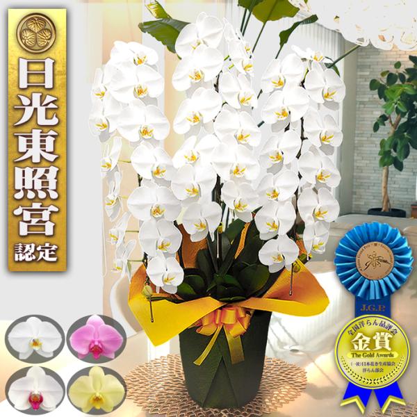 胡蝶蘭生産者「蘭のフレンズ」（栃木県）より直送大輪 胡蝶蘭 3本立ち 41輪以上白/ピンク/白＆赤リップ高さ約80〜90cm配送・お届け送料無料最短で翌日のお届けが可能です。・ 当日発送の受付締切時間は昼12時（正午）までのご注文・ お届け...