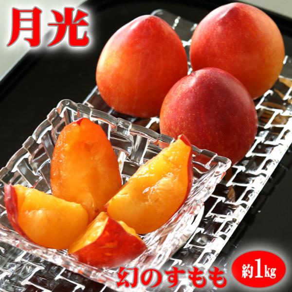 すもも 月光 中玉2l 11玉 約1kg 送料無料 幻のすもも 山形 ふるさと プレミアム プラム 李 スモモ 果物 くだもの 高級 フルーツ ギフト Gekkom 農ブランドyahoo ショップ 通販 Yahoo ショッピング