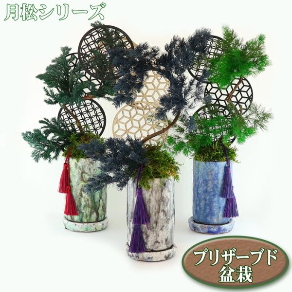 父の日 ギフト プリザーブド の 盆栽 月松 プリザーブドフラワー フェイクグリーン 造花 送料無料 贈答 アーティフィシャルフラワー 人工観葉植物 誕生日 お祝い