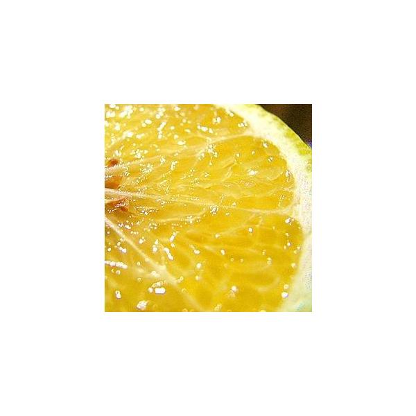 ◆「はるか」という品種：日向夏の枝変わりでできた品種ですね。地域や育て方によって収穫（出荷）シーズンが異なります。中山さんの所は全体の中では早いですね。瀬戸内の方では春まで待って収穫という所もあるようです。◆シーズン中山さんの「はるか」のシ...