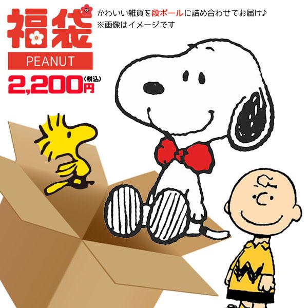 21年 福袋 アイテム数は ５点前後 雑貨 スヌーピー 21fuku Sn 00 0i Zdeu 542a のあのはこぶね 通販 Yahoo ショッピング